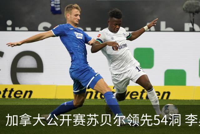 加拿大公开赛苏贝尔领先54洞 李昊桐79杆大滑坡